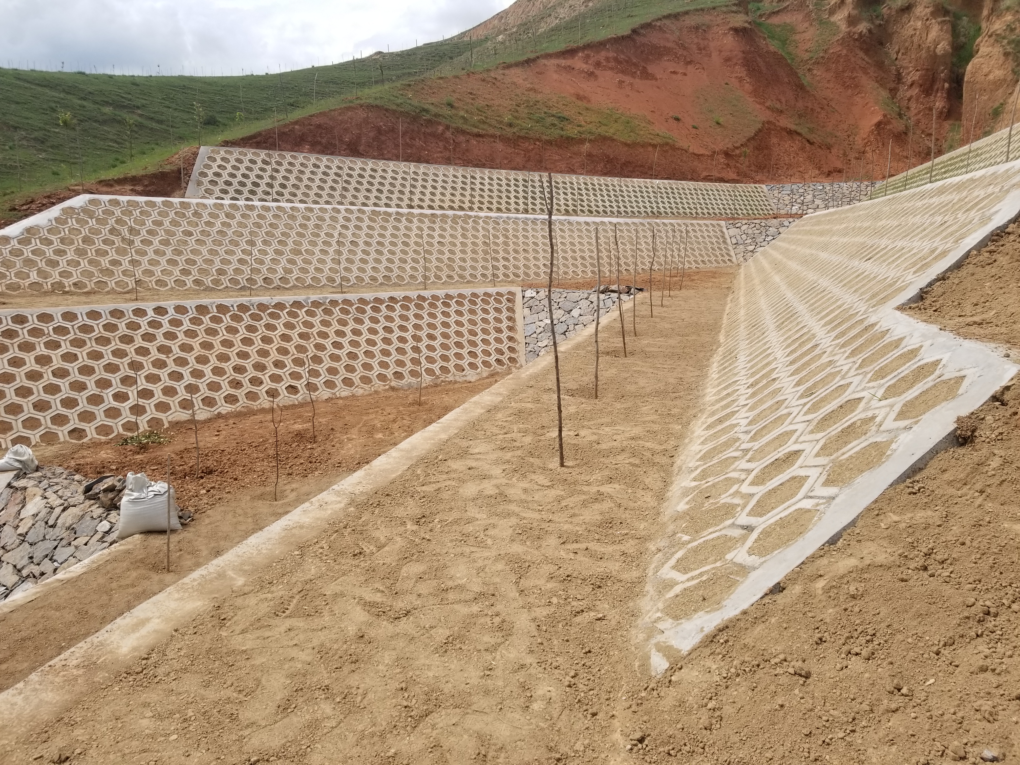 微信图片_20200106151330.jpg 微信图片_20200106151330.jpg