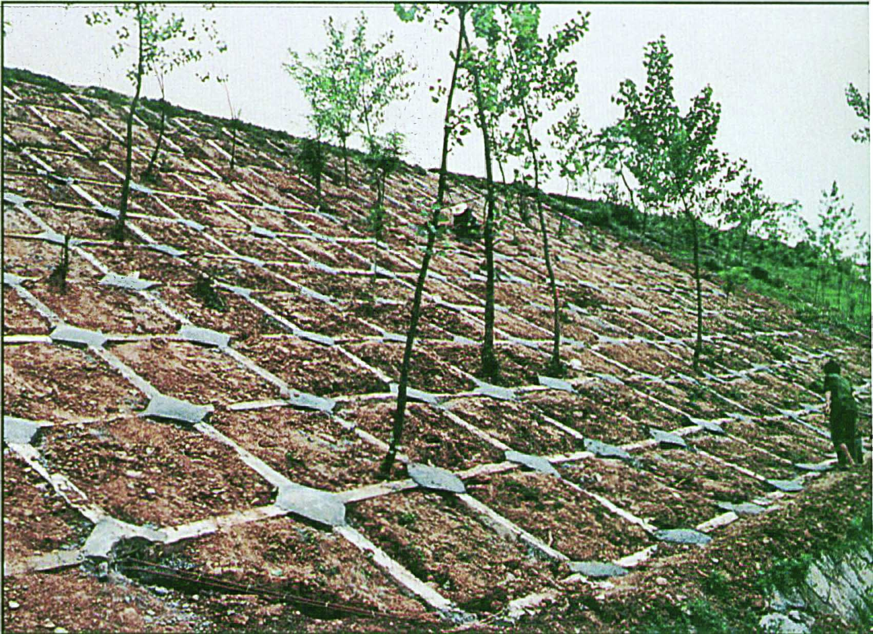 焦柳线京罗东站锚杆框架护坡裂土路堤锚杆框架护坡.jpg 焦柳线京罗东站锚杆框架护坡裂土路堤锚杆框架护坡.jpg